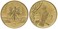 2 złote  2000, Warszawa, Dudek, golden nordic, P