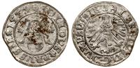 szeląg 1559, Królewiec, moneta z końcówki blaszk