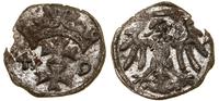 denar 1549, Gdańsk, minimalnie wyszczerbiony krą
