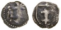 denar koronny bez daty (1386–1389), Wschowa, Aw: