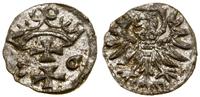 denar 1556, Gdańsk, patyna, bardzo ładne, CNG 81