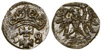 denar 1558, Gdańsk, patyna, bardzo ładnie zachow