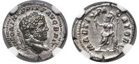 denar 210–213, Rzym, Aw: Popiersie cesarza w wie