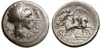 denar 115–114 pne, Rzym, Aw: Roma w hełmie, w po