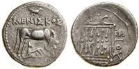 drachma ok. 80/70–60/55 pne, Aw: Krowa stojąca w