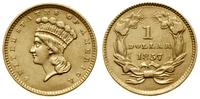 1 dolar 1857, Filadelfia, typ Large Liberty Head