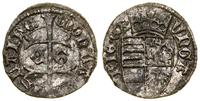 denar bez daty (1457), Koszyce, Aw: Krzyż lotary