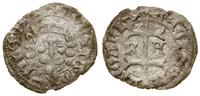 denar bez daty (1462), Aw: Ukoronowana lwia głow