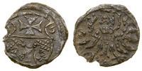denar 1556, Elbląg, ciemna patyna, CNCE 233, Kop