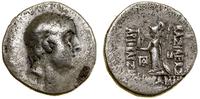 drachma 95–62 pne, Eusebeia, Aw: Głowa władcy w 
