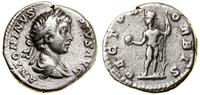 denar 201–206, Rzym, Aw: Popiersie cesarza w wie
