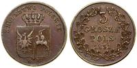 3 grosze polskie 1831 KG, Warszawa, patyna, Bitk
