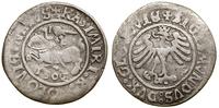 Polska, grosz, 1506