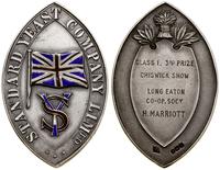medal nagrodowy 1929, Birmingham, Aw: Flaga Wiel