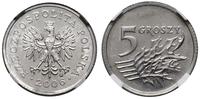 Polska, 5 groszy, 2006