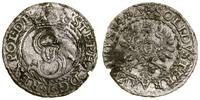 szeląg 1584, Malbork, moneta zgięta i wyprostowa