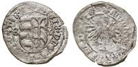 Polska, denar, ok. 1444