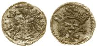 denar 1554, Gdańsk, ładny blask menniczy na mone
