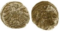 denar 1558, Królewiec, miejscowa patyna, bardzo 