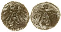 denar 1563, Królewiec, miejscowa patyna, wyraźny