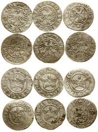 lot 6 monet, Kraków, 5 x półgrosz koronny (1507,