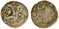 denar bez daty (1081–1102), Kraków, Aw: Głowa wł