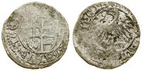 denar ok. 1443–1444, Aw: Z boków tarczy herbowej