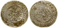 grosz bez daty (1507–1508?), Legnica, Aw: Orzeł 