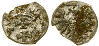 denar 1554, Gdańsk, widoczny blask menniczy, nie