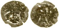 denar 1558, Gdańsk, prześwity na krążku, blask m