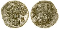 denar 1558, Gdańsk, blask menniczy, CNG 81.X, Ko
