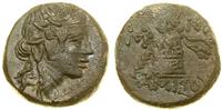 AE-20 105–85 pne, Aw: Głowa Dionizosa w wieńcu, 
