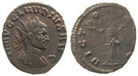 antoninian (265-268), Aw: Popiersie cesarza w ko