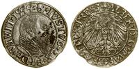 grosz 1544, Królewiec, miejscowy, rdzawy nalot n