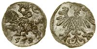 denar 1559, Wilno, widoczny blask, Cesnulis-Ivan