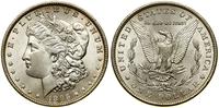 1 dolar 1896, Filadelfia, typ Morgan, srebro pró