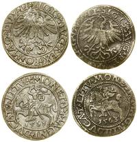 zestaw 2 x półgrosz 1561, 1563, Wilno, razem 2 s