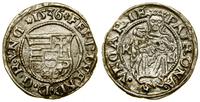 denar 1536 KB, Kremnica, patyna, Huszár 935