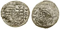 denar 1524 CS / LW, Wrocław, rzadki typ monety, 