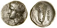 stater (ok. 330–290 pne), Aw: Głowa Demeter w ko