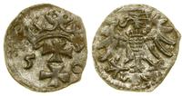 denar 1550, Gdańsk, nierówno wycięty krążek, CNG