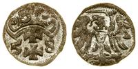 denar 1558, Gdańsk, ładny, CNG 81.X, Kop. 7354 (