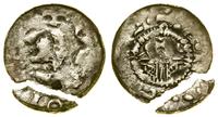denar (1081–1102), Kraków, Aw: Głowa władcy w le