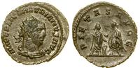 antoninian 255–256, Antiochia, Aw: Popiersie ces