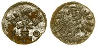 denar 1550, Gdańsk, miejscowy, rdzawy nalot na a