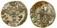 denar 1557, Gdańsk, odmiana z prostą koroną, mie