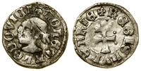 denar (ok. 1358–1366), Aw: Głowa Saracena w lewo
