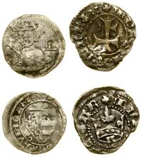 lot 2 x denar, denar po 1384, Maria 1385–1395 (s