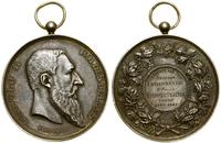 medal nagrodowy Akademii Sztuk Pięknych 1901, Gł