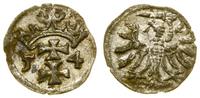denar 1554, Gdańsk, bardzo ładnie zachowana mone